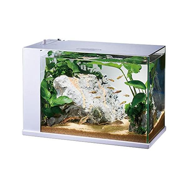 GEX AQUARIUM ラクテリア 水換え簡単水槽 フィルター・LED付き W34×D17.5×H24cmホワイト