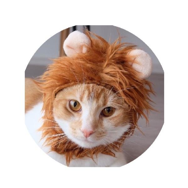 ˂̕ϐgԂ́IlRȍŋCIϐg