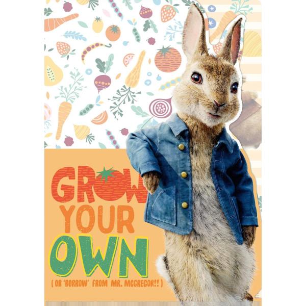 s[^[rbgQ o[ioX̗Uf IG-3407 _CJbgNAt@C