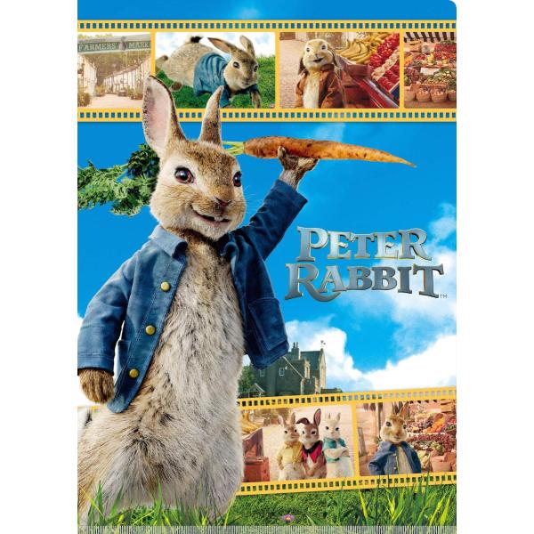 s[^[rbgQ o[ioX̗Uf IG-3408 v|PbgNAt@C