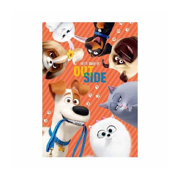 Ajf ybg2 PETS2 ~ B5TCY