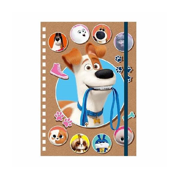 Ajf ybg2 PETS2 SohtOm[g B6TCY