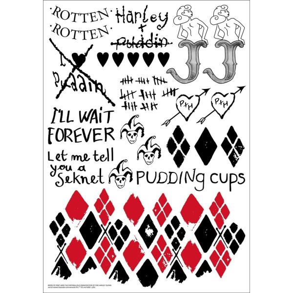 n[CENC̉ؗȂo BIRDS OF PREY ^gD[V[