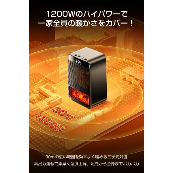 smerlion_b1e03he_3_d_20241008192621