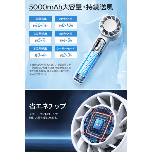 smerlion_b1h8fs_6_d_20240515194119