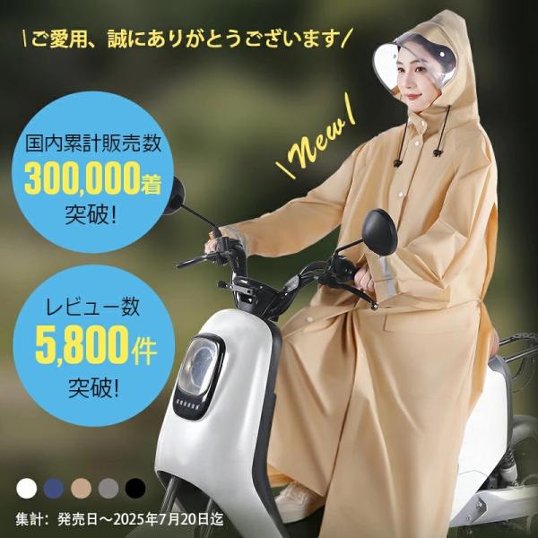 smerlion_b1yy109_2_d_20260323164410