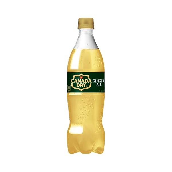 コカ・コーラ カナダドライジンジャーエール700mlPET ×20本
