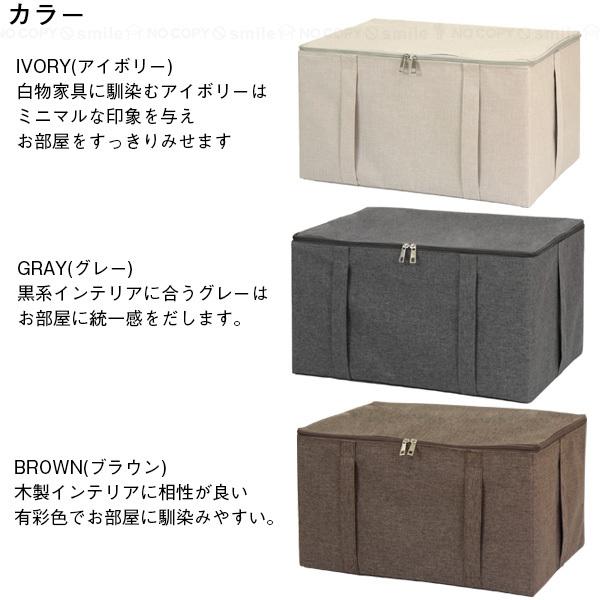 ストレリアカチオン ラックボックスL / 収納ボックス フタ付き