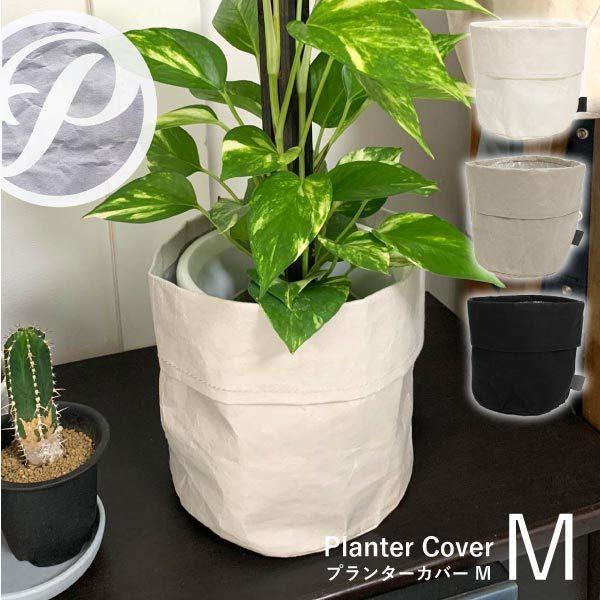 v^[Jo[M y[p[ PP-PCM-P u|Xgv/ v^[ Jo[ 5 6 Ntgy[p[ y CeA O[ ϗtA