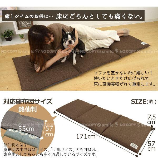 Pally 座布団がごろ寝クッションになるざぶとん収納袋 「ポスト投函