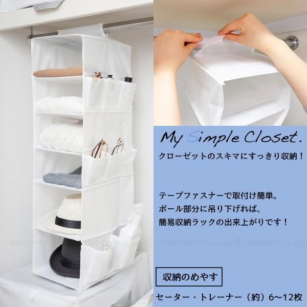 MSC 吊るして6段収納 衣類・小物用 85695 / 衣類 収納ラック