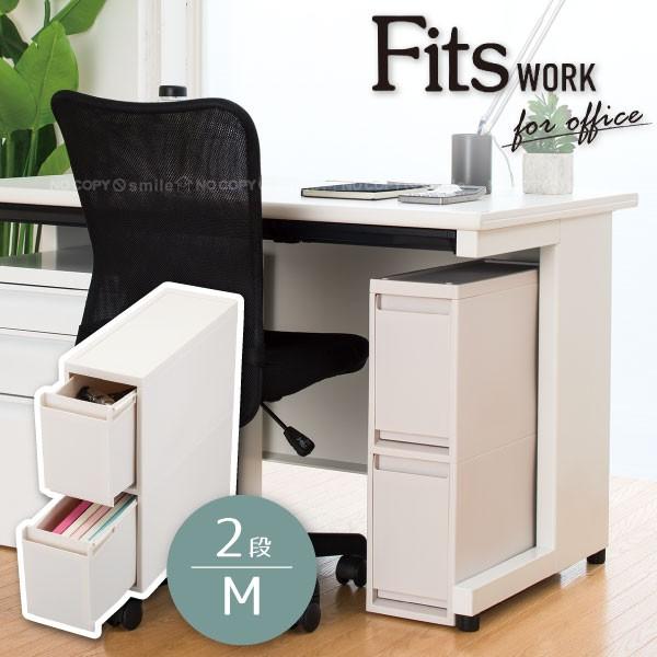 Fits A4ファイルも入るデスク下引出ケース M2段/ A4 ファイル 2 Fits A4ファイルも入るデスク下引出ケース M2段/ A4 ファイル 2