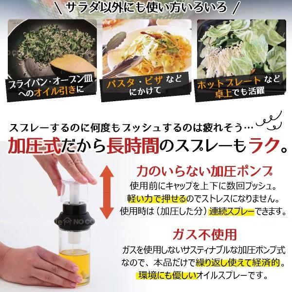 Felio 加圧式オイルスプレー F151 オイル スプレー ボトル 醤油 加圧 ポンプ 減油 減塩 健康 エコ ヘルシー サラダ パスタ 油 引く フライパン フェリオ 住マイル 通販 Yahoo ショッピング