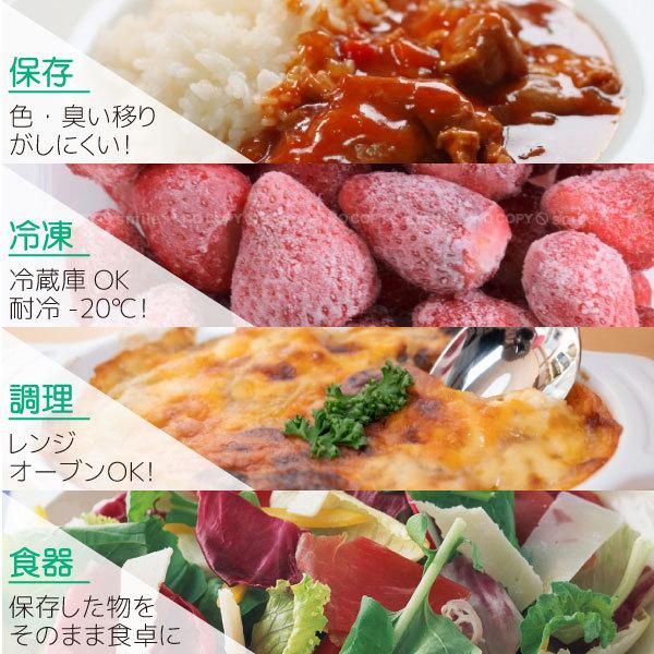 Felio 耐熱フードコンテナ 2分割M F20700 / ガラス 硝子 フード