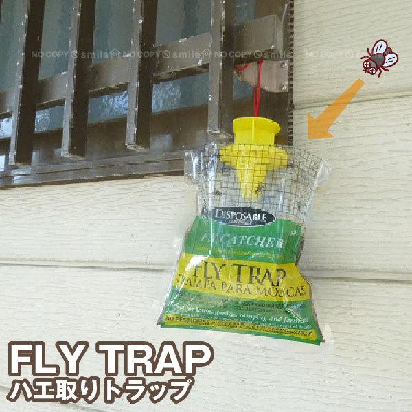 FLY TRAP (nGgbv) F20830 / nG  RoG  nG gbv 쏜 U ߊl ߒ ߊl E ݂邷 h~ ΍  O ݔ 