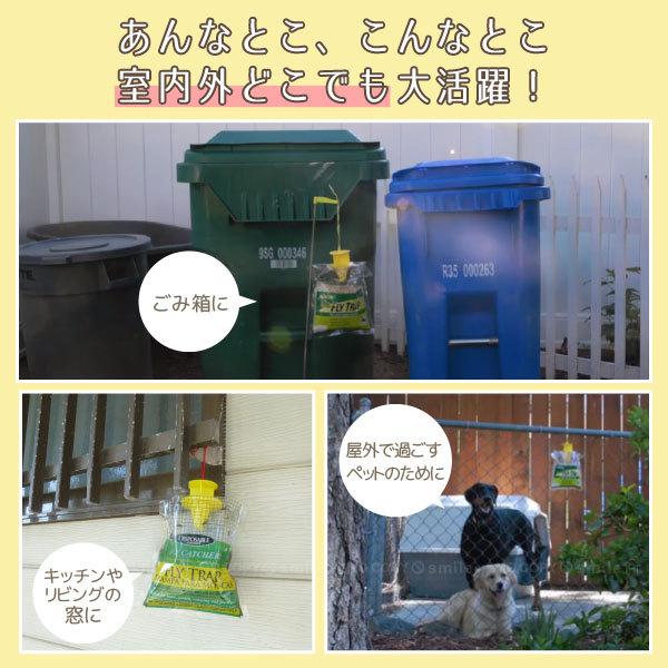 FLY TRAP (ハエ取りトラップ) F20830 / ハエ 蠅 コバエ 虫 ハエ FLY TRAP (ハエ取りトラップ) F20830 / ハエ 蠅 コバエ 虫 ハエ