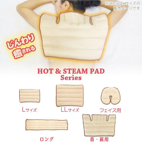 Salofix ホット＆スチームパッド Lサイズ F20892 「コンパクト便