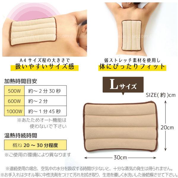 Salofix ホット＆スチームパッド Lサイズ F20892 「コンパクト便