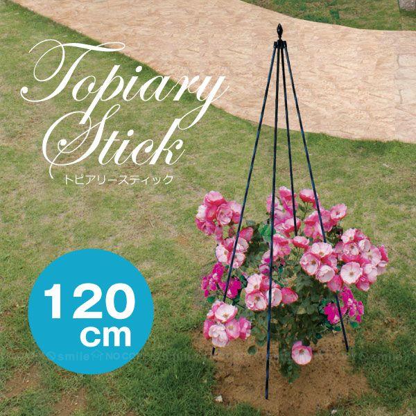 植物を引き立たせるブラックのトピアリースティック。バラやつる花を華やかにサポートします。お庭でも鉢植えでも、バラやつる花のデザインが楽しめます♪差し込むだけでカンタン設置！軽くて丈夫、しっかりとした素材でおしゃれなガーデニングのサポートしま...