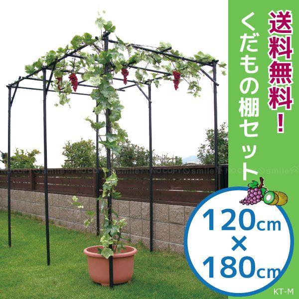くだもの棚セット KT-L 楽天市場】【28h限定！15％OFF】【エントリーで全商品P5倍
