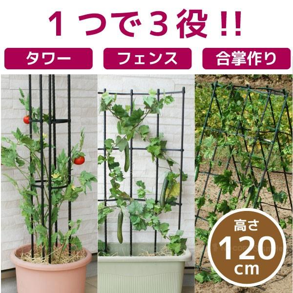 トレリス アイアン まきまきトレリス60x1cm 住マイル 通販 Yahoo ショッピング