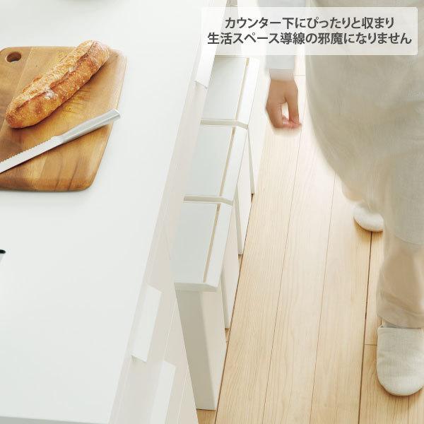 RISU（リス） TOSTE レバーオープン 30L 「送料無料」/ ゴミ箱