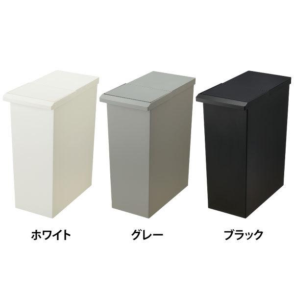 RISU（家具、インテリア） TOSTE レバーオープン 30L 「送料無料