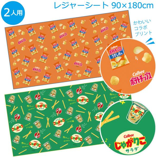 スケーター レジャーシート L 「ネコポス送料無料」/ レジャー シート