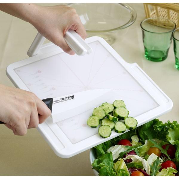 ܂Ȕ R / fUCLb`{[h X^h^CvS SDKB-S