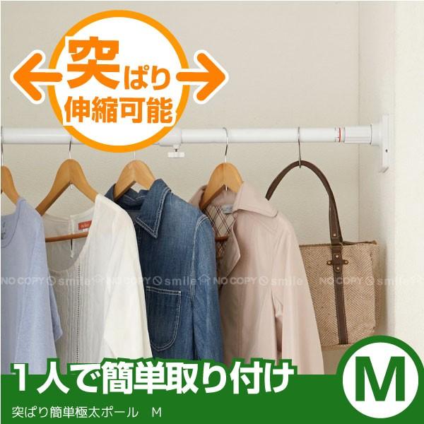 ˂σȒPɑ|[ M / OGP-110