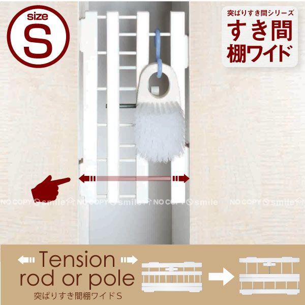 ˂ς肷ԒICh^Cv / W-S / SMR-21 ulR|Xv