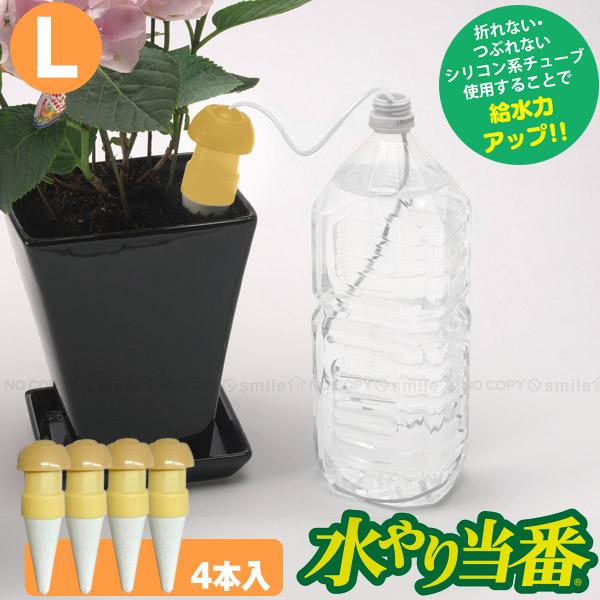 水やり当番 L 「4本セット」「コンパクト便」/ 水やり サイフォン