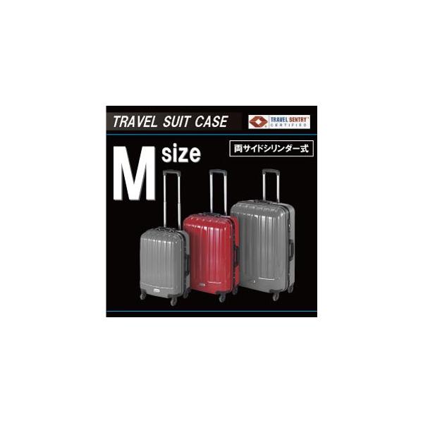 u݌ɏvuv gxX[cP[Xl /TSATChV_[