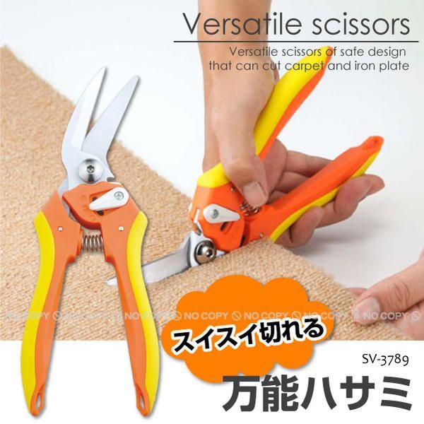 悭؂[ \nT~ / SV-3789 ulR|Xv