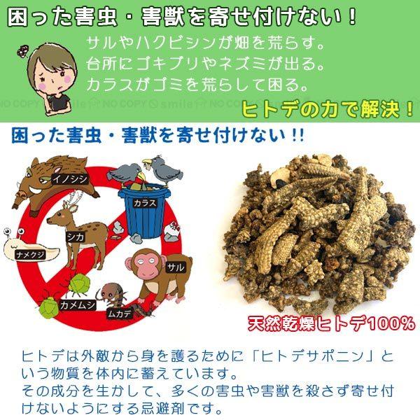 ヒトデ浪漫 ポスト投函送料無料 忌避剤 乾燥 ヒトデ 北海道産 日本製 天然素材 小分け 害獣 害虫 動物 虫 対策 肥料 菜園 畑 軒下 洗面所 Fp 住マイル 通販 Yahoo ショッピング