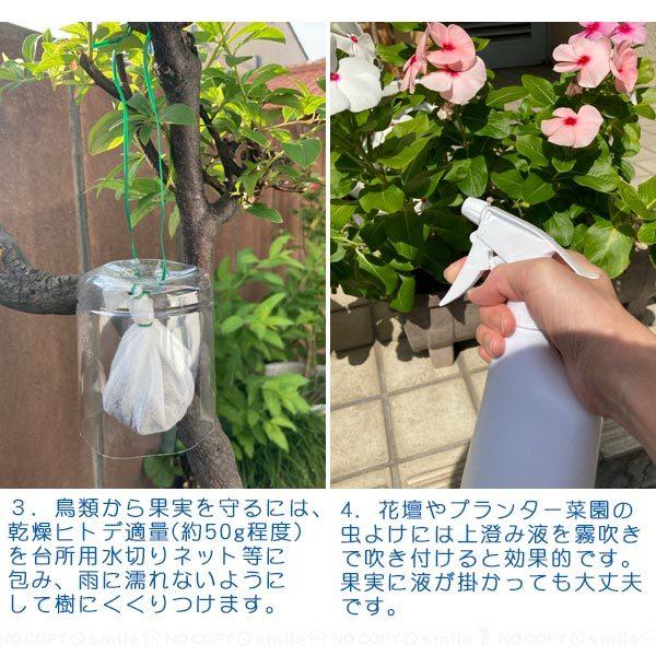 ヒトデ浪漫 ポスト投函送料無料 忌避剤 乾燥 ヒトデ 北海道産 日本製 天然素材 小分け 害獣 害虫 動物 虫 対策 肥料 菜園 畑 軒下 洗面所 Fp 住マイル 通販 Yahoo ショッピング