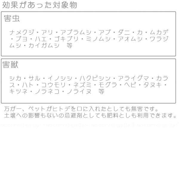 ヒトデ浪漫 「ポスト投函送料無料」/ 忌避剤 乾燥 ヒトデ 北海道産 日本製 天然素材 小分け 害獣 害虫 動物 虫 対策 肥料 菜園 畑 軒下 洗面所 :fp-4560461664631:住マイル - 通販 - Yahoo!ショッピング ヒトデ浪漫 「ポスト投函送料無料」/ 忌避剤 乾燥 ヒトデ 北海道産 日本製 天然素材 小分け 害獣 害虫 動物 虫 対策 肥料 菜園 畑 軒下 洗面所 :fp-4560461664631:住マイル - 通販 - Yahoo!ショッピング