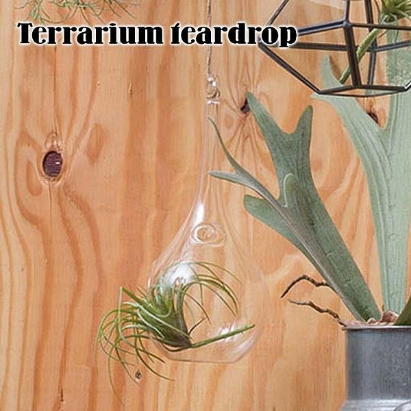 テラリウム ガラス ケース テラリウム ティアドロップ Pl 住マイル 通販 Yahoo ショッピング