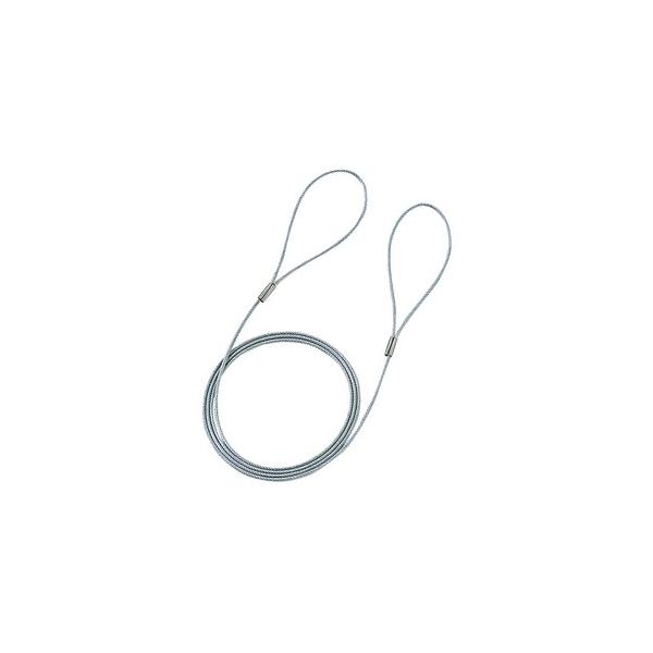 ●メーカー名：サンワサプライ●商品名：eセキュリティ（ワイヤー、1.0m・1.6mm）●型式：SLE-3W●JANコード：4969887277164