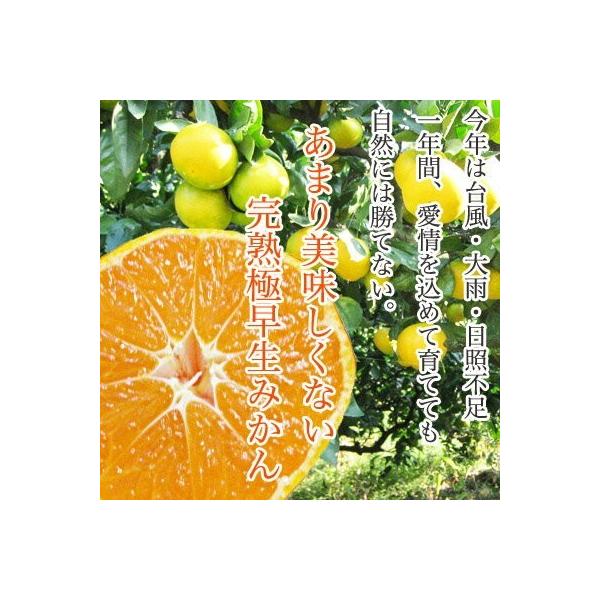 12 QY ܂ȂȊnʂ݂ 10kg 2L3LTCY 󂠂 Yn Q݂ ʕ k y͈ꕔn揜z