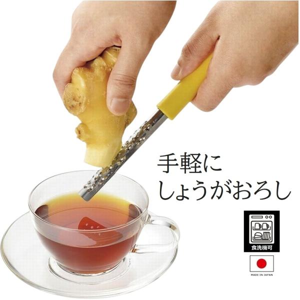 生姜おろし器 フルベジ スティックおろし FV-619 しょうがおろし器 ステンレス ニンニクおろし器 チーズ削り器 食洗機対応 日本製 メール便