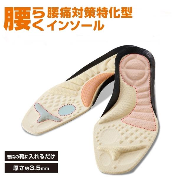 インソール 腰らくインソール 1足組（2枚入） 腰痛対策 姿勢矯正 アーチサポート 中敷き 衝撃吸収 股関節 痛い 立ち仕事 レディース 女性用 メール便 送料無料