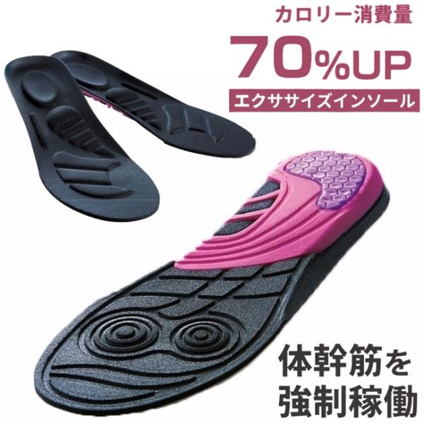 インソール 体幹筋エクササイズインソール ツインボール 1足組（2枚入） ダイエット ウォーキング 体幹トレーニング 薄型 中敷き 衝撃吸収 レディース メール便