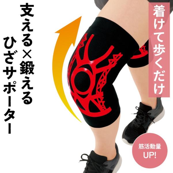 膝サポーター 織田式ひざを鍛えるひざサポーター 2枚入 男女兼用 膝痛 膝用 膝固定 膝痛サポーター 膝の痛み 膝痛い 膝関節 レディース メンズ メール便