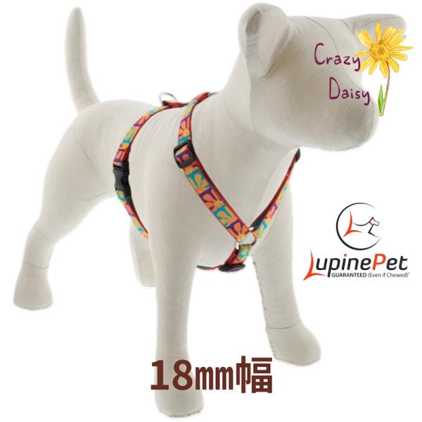 ローマンハーネス・Mサイズ　18mm幅クレイジーデイジー柄　35-60cm　LUPINEルパイン アメリカ製　軽量　丈夫 中型犬