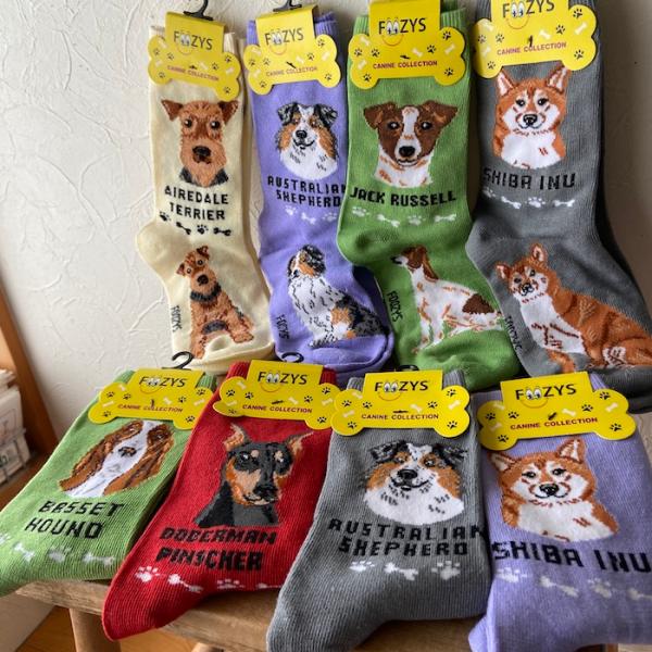 ワンコ様4 ランニング,ランニングシューズ(クッション・厚底),メンズ