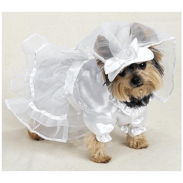 犬用 ウエディングドレス ｌサイズ Buyee Buyee Japanese Proxy Service Buy From Japan Bot Online