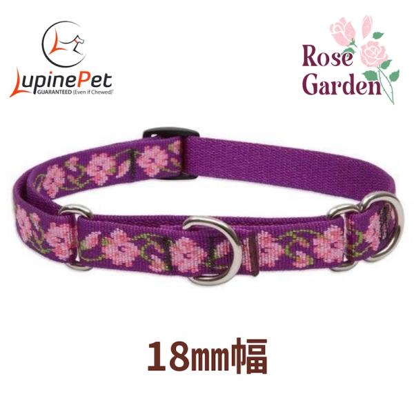 ハーフチョークカラー・Sサイズ・18mm幅　ローズガーデン　Rose Garden柄　25-35cm　LUPINEルパイン アメリカ製　軽量丈夫