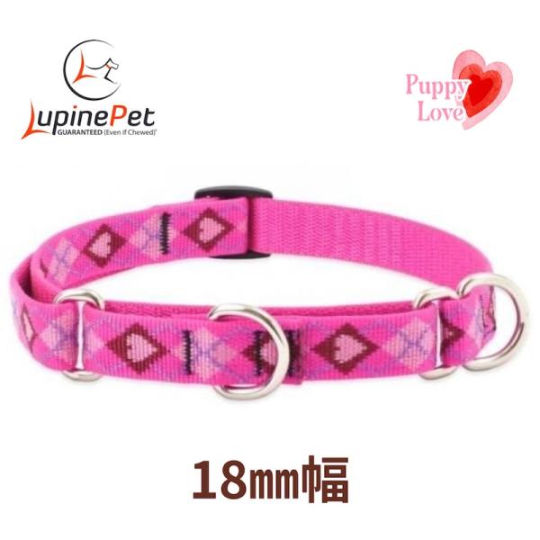 ハーフチョークカラー・Mサイズ・18mm幅パピーラブ柄34-50cm　LUPINEルパイン アメリカ製　軽量丈夫 中型犬マーチンゲール