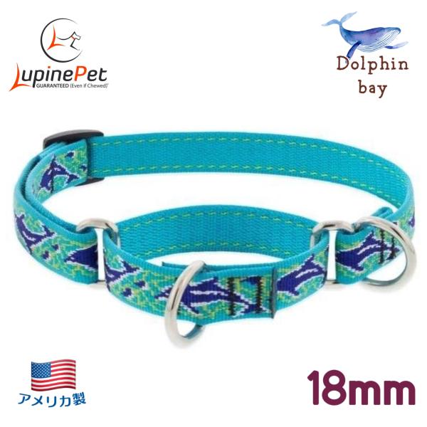 ハーフチョークカラー・Mサイズ・18mm幅ドルフィンベイ柄34-50cm　LUPINEルパイン アメリカ製　軽量丈夫 中型犬マーチンゲール